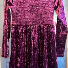Bnwt size 31-32" wine velour shirred dress