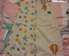 Various sleepsacks 0-18 mths