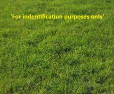 2026 Silage bales for sale