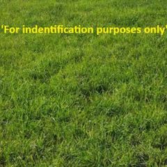 2026 Silage bales for sale