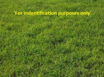 2026 Silage bales for sale