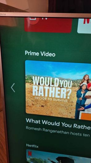 Sony Bravia ( needs new motherboard )