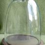 Vintage Glass Dome on Wooden Base Image 8