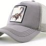 Cap Image 2