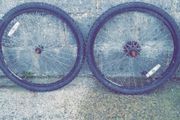 Two matching bicycle wheels
