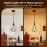 Chrome Pendant Light Fitting, Black Pendant Light Fitting with E27 Lamp Holder, Chrome Ceiling Rose Light Pendant Fitting, 2 Pack Image 4