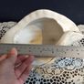 Vintage Kitsch Ceramic Shell Planter in Excellent Condition Image 7