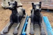 Pair of cast iron dog statues