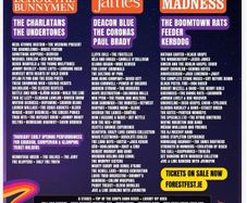 Adult weekend Forest Fest ticket