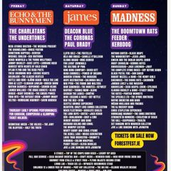 Adult weekend Forest Fest ticket