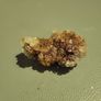 Moroccan calcite cluster Image 4