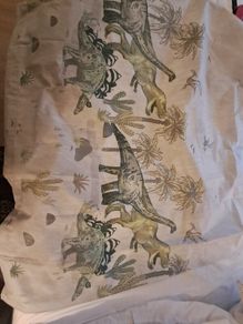 Blackout Dinosaur Curtains