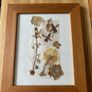 Pressed Flower Picture Image 4