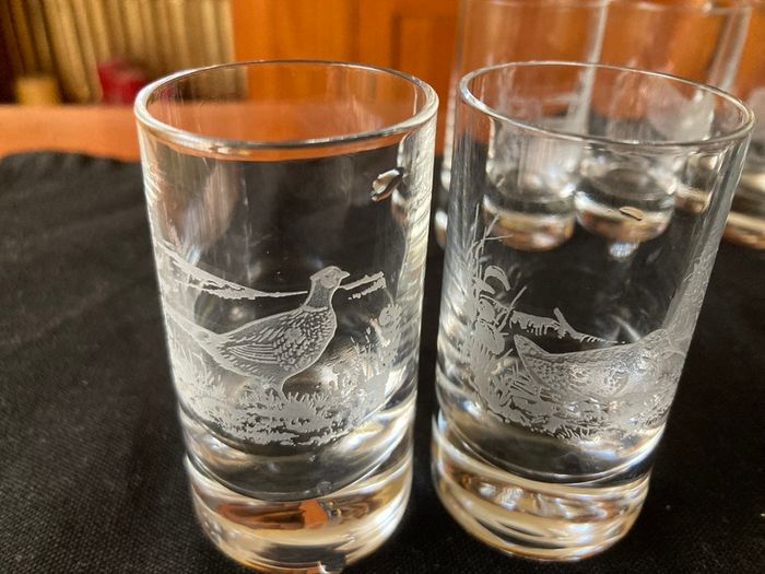 Shot wildlife engraved glasses- 6 piece set