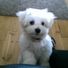 michellie