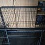 Large Dog Crate Image 2