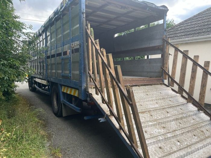 Vintage Scania Cattle Lorry