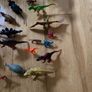 Dinosaurs bundle Image 6