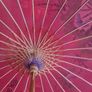 chinese parasol Image 6