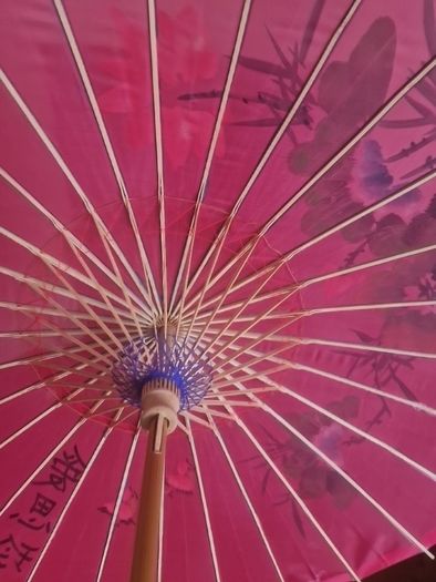chinese parasol