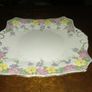 Tuscan China PLANT big plate Image 5