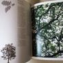 Native Trees And Forests Of Ireland Image 3