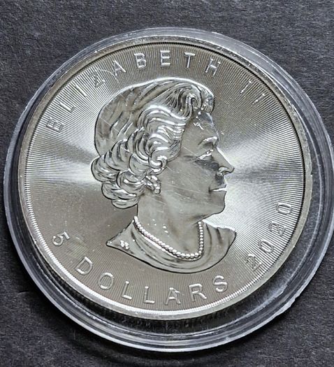 Canada 1 oz  Maple Leaf Silver 2020 Coin