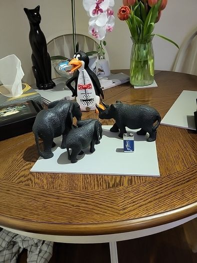 African Animals