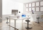 Sit Stand Ergonomic Desk 
