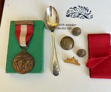 irish emergency medal