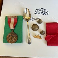 irish emergency medal