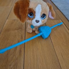Toy Dog with lead