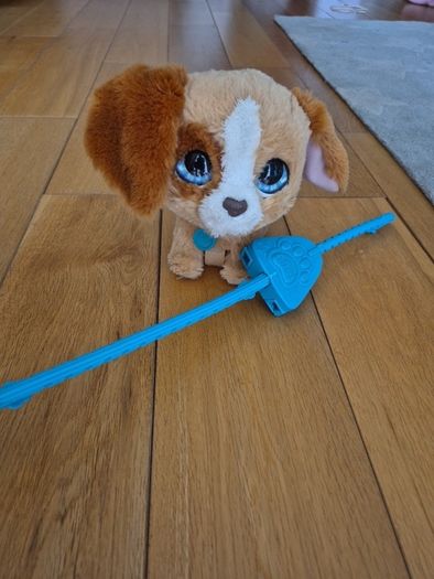 Toy Dog with lead
