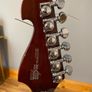 Washburn X50 Pro Q Image 3