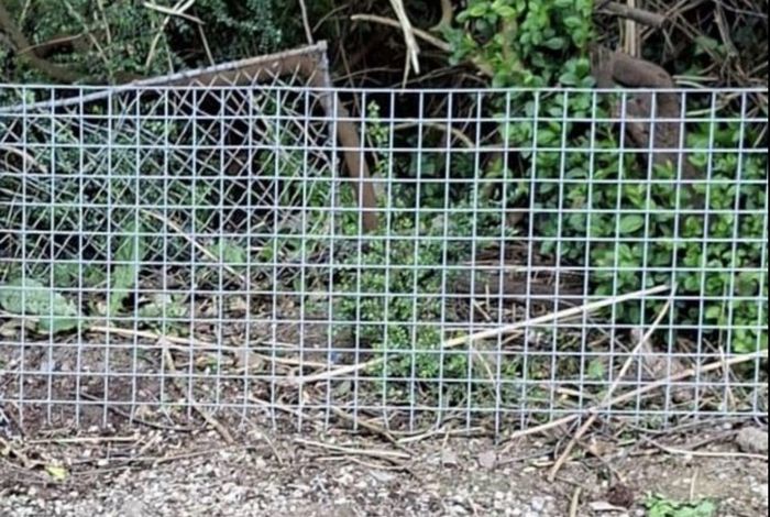 Galvanised Welded Wire Mesh Panels and galvanised steel posts/rails