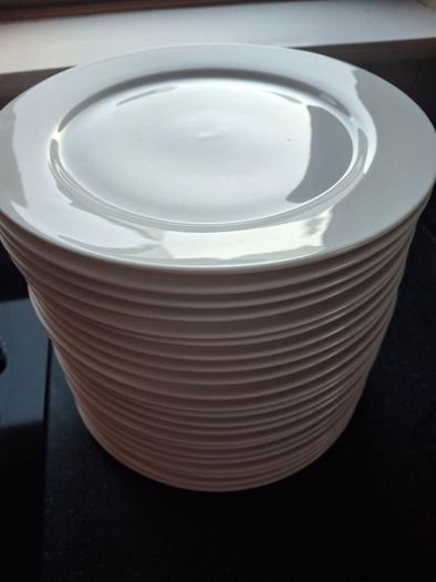 Dinner plates