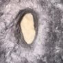 Women's Uggs Image 6