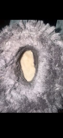 Women's Uggs