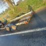 Car transporter Image 2