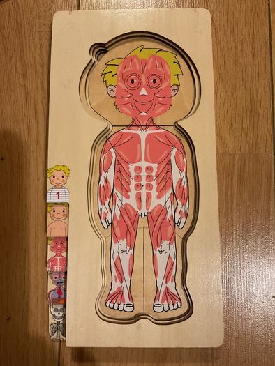 The human body wooden puzzle
