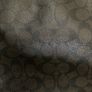 Coach Bag Image 10