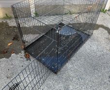 Dog Cage