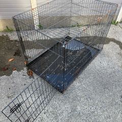 Dog Cage