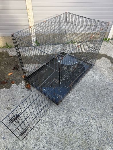 Dog Cage