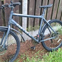 Carrera bike