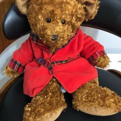 brown thomas teddy