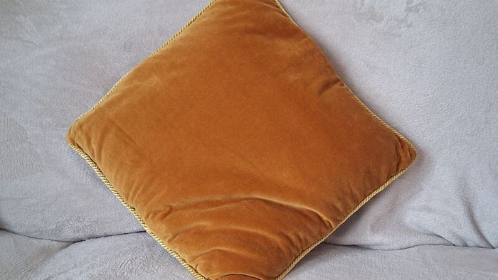 Gold Velvet Cushions