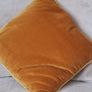 Gold Velvet Cushions Image 2