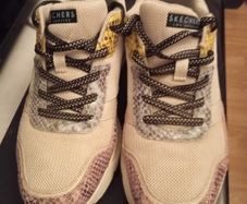Skechers uk6