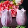 Vintage Rare Tulips Salt and Pepper Shakers Image 3